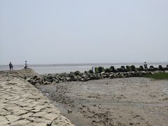 -南汇嘴观海公园