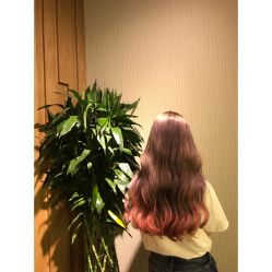 -木北造型