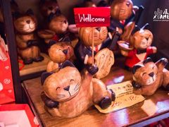 -猫咪博物馆(顶澳仔猫街店)