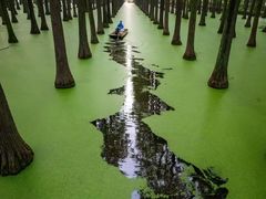 -渌洋湖湿地公园