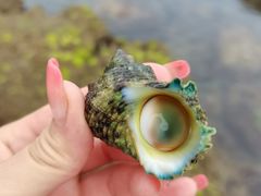 -三亚西岛海洋文化旅游区