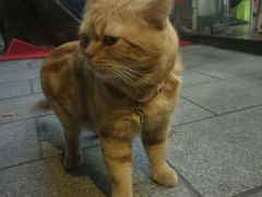 -西关84·History·Art·Cafe