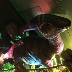 -恐龙探索乐园(磁器口店)