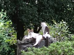 -江南大学(蠡湖校区)