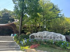 -东明山森林公园