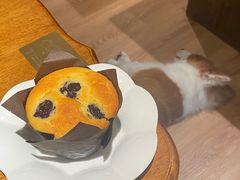 -echoes coffee回响咖啡(红山店)