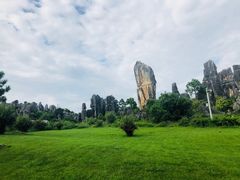 -元谋土林景区(物茂土林)