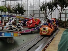 -南宫五洲植物乐园