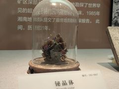 -湖南省地质博物馆