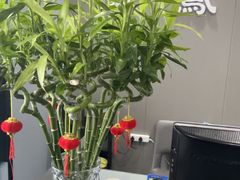 -田凤波推拿.按摩养生(幸福店)