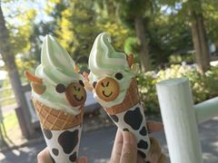 -神户市立六甲山牧场