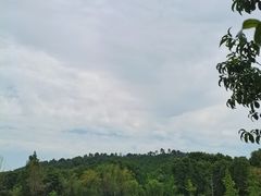 -黄陂区野村谷景区