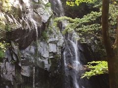 -藏龙百瀑风景区