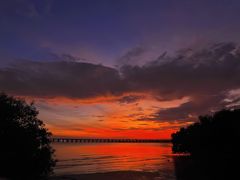 -宝安西湾红树林湿地公园