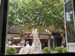 -蜜桃花开·中西融合菜E&W(南长街店)