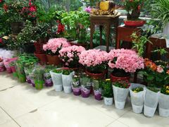 -无锡文化工艺品市场(槐古路店)