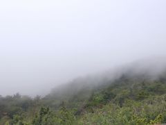 -燕窝岭