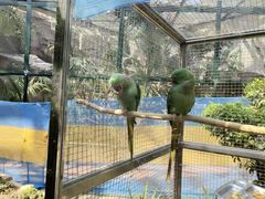 -大连森林动物园