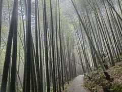 -蜀南竹海景区