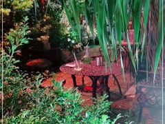 -more than meow吴止猫主题餐厅(承德 中船汇店)