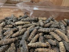 -宫品海参专卖店(静安大宁店)