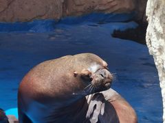 -华夏文旅海洋公园