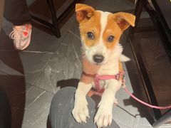 -祥源胡同·涮牛羊肉火锅(花桥店)