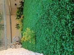 -了不起的考拉咖啡店(高新店)