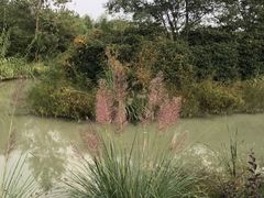 -中国扬子鳄村