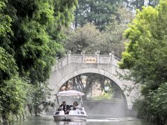 -水杉园