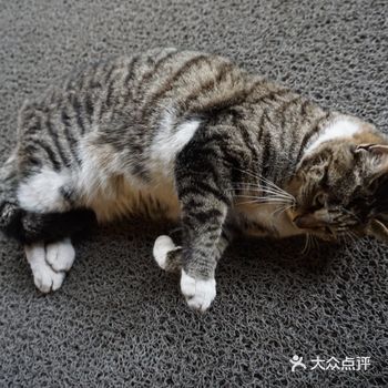 攻略|市区里的人文景点公园