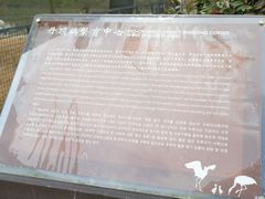 -盐城丹顶鹤湿地生态旅游区