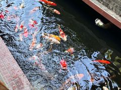 -侠成水上农庄(工业大道店)