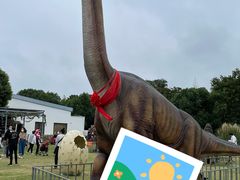 -田园东方蜜桃村的田野营地