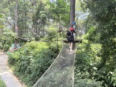 -芦仙山景区-飞越丛林探险乐园