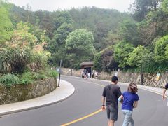 -千岛湖天屿景区