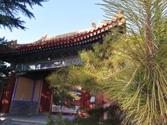 -北京市劳动人民文化宫(太庙)