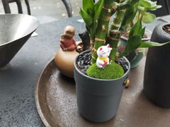 -成都许燎源现代设计艺术博物馆