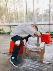 -前小桔亲子创意农场·草莓采摘·露营烧烤