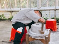 -前小桔亲子创意农场·草莓采摘·露营烧烤