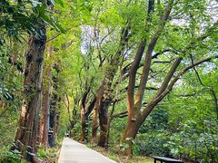-同里国家湿地公园