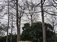 -南宁南湖公园