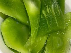 -海底捞火锅(铁西万达店)