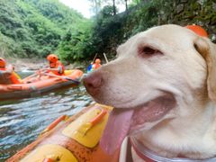 -安吉龙王山峡谷漂流