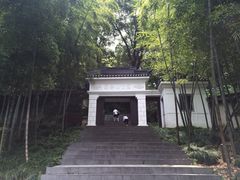 -上海佘山国家森林公园西佘山园