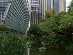 -活水公园