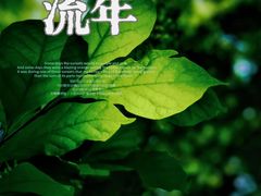 -望江楼公园