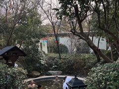 -苏州湾·王焰温泉