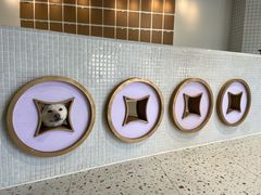 -柴务处·柴犬主题狗咖