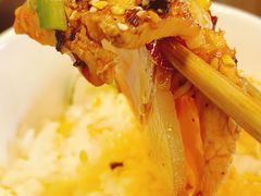 -龙翔山庄雷鸡肉(青城后山泰安古镇店)